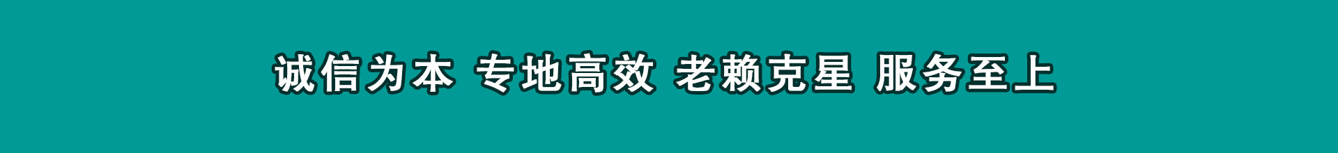 林芝要数公司